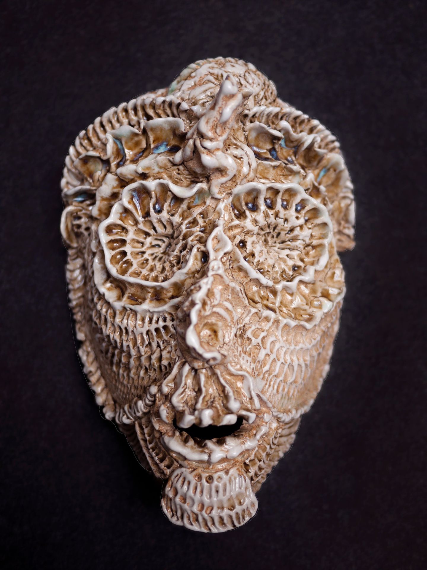 Networks of Life - 3