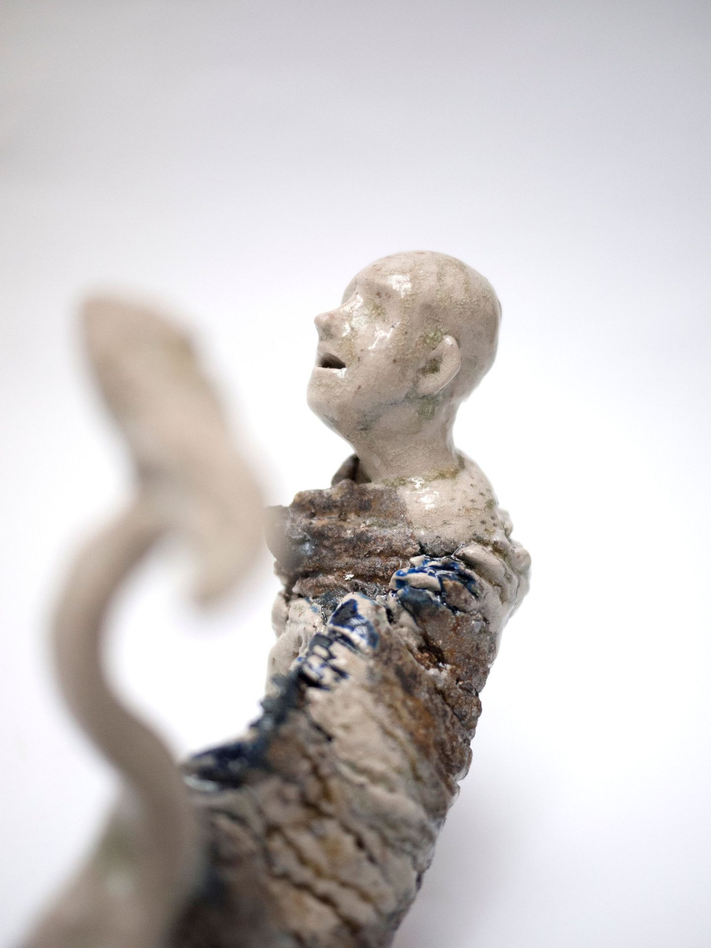 Networks of Life - 2