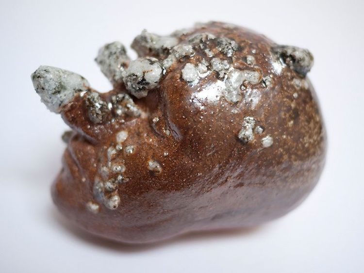 Face of the Earth - 6